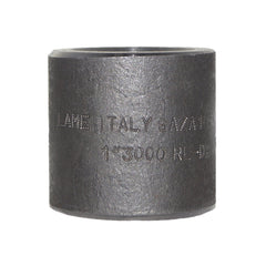 NPT Cap 3000#