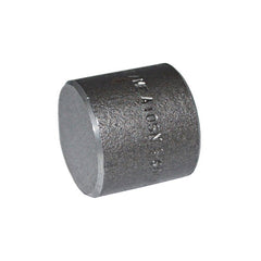 NPT Cap 6000#