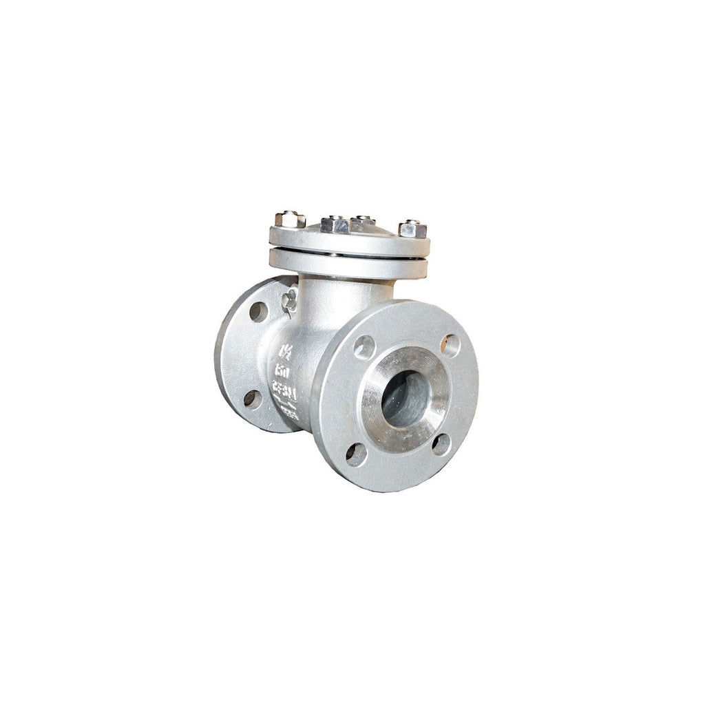 ANSI 150# Flanged End Swing Check Valves